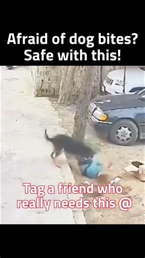 062. Ultrasonic dog repeller protect your self