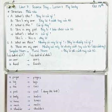 Baby learns English: Everybody Up 1 - Unit 7: My Day - Lesson 1: My Body - Structure [Sonic TK]