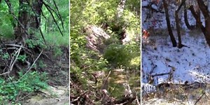 Can you find the American commando in these pictures? (Photo/Video)