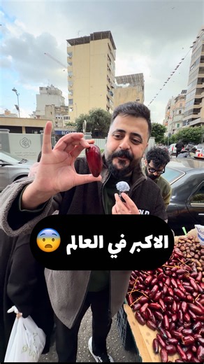 اكتشف أكبر بلح مصري في بسطية لبنان