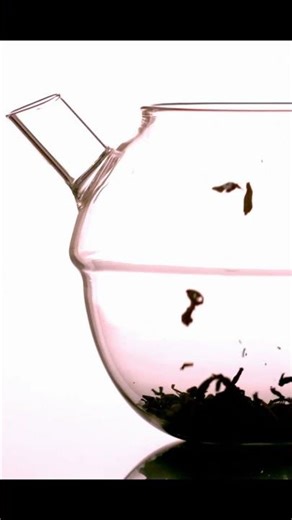 Part 4 - Park Karen or Wildlife Hero? The Day I Confronted Crow-Tormenting Dog Owners #shorts