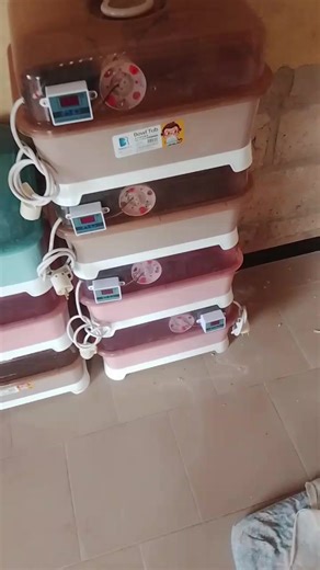 🔥 PROMO SPÉCIALE – COUVEUSE AUTOMATIQUE 56 ŒUFS 🔥 Tu veux réussir ton élevage sans stress ? Cette couveuse automati fait tout le travail pour toi 💯 ✅ Température automatique ✅ Humidité contrôlée ✅ Très bon taux d’éclosion ✅ Idéale pour débutants et professionnels 🚚 Livraison partout au Sénégal 📞 WhatsApp : 76 330 93 94 ⚠️ Stock limité – dépêche-toi ! #couveuseautomatique #couveuse56oeufs #elevageSenegal #poussins #businessSenegal