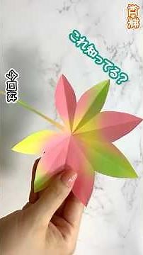 【簡単折り紙】紅葉🍁How to make leaf🍃#こうよう#もみじ#잎사귀#叶子#葉っぱ#はっぱ#紅葉#leaf#葉子#枫叶#秋#단풍#잎#낙엽#折り方#おりがみ#origami#摺紙#종이