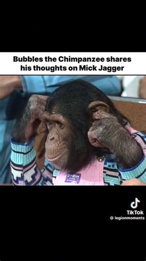 Michael Jackson's chimpanzee bubbles funny moment 🤣❤️ Subscribe ‪@MichaelJacksonZone-z1o‬