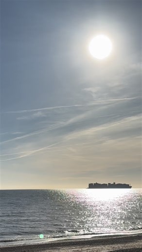 A special seaside town full of special people. ❤️🌴🌊 #VisitFelixstowe #lovefelixstowe #seasidetown #placestovisituk #suffolkcoast | Visit Felixstowe