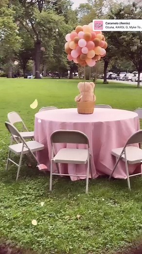 Park Baby Shower Ideas for NYC Party Decorator Moms
