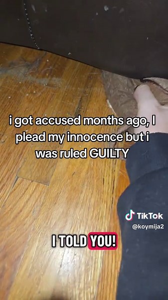 Understanding Dog Shedding and Cleaning Tips