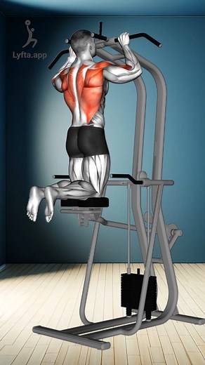 💪 BACK AND BICEP PULL WORKOUT 💪 Workout Focus: 🎯 Targeting Back and Biceps Muscles 🎯 Enhancing Strength and Muscle Growth 🎯 Combination of Free Weights and Cable Exercises Important Tips: 🏋️ Start with a weight that challenges you while maintaining proper form. 💡 Incrementally increase weight to continuously challenge your muscles. 🕒 Rest for 1-2 minutes between sets for recovery. 💧 Stay hydrated and ensure a balanced diet to support your workout. Workout Plan: Deadlift Target: Entire B