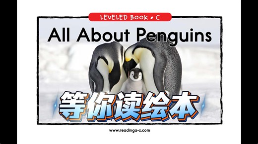 零基础英语入门 RAZ绘本阅读之C16 All About Penguins