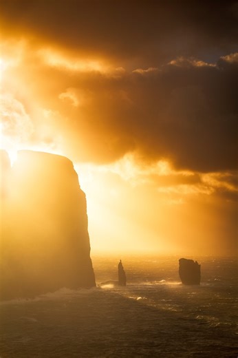 Visit Faroe Islands on Instagram: "Faroese Language: The Bumblebee That Defied the Odds 💪 Did you know that Faroese is the official language of the Faroe Islands? It’s spoken by only around 75,000–80,000 people worldwide, and keeping a small language alive hasn’t always been easy. Up until 1948, Danish was the dominant language in schools and churches, and many older Faroese still know their psalms better in Danish than in their own mother tongue. But thanks to the dedication and hard work of t
