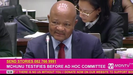 Police Minister Senzo Mchunu says President Cyril Ramaphosa specifically appointed him, to chair the PKTT and oversee its administrative work. | MDN News
