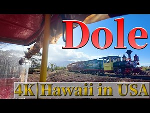 4K HAWAII Dole Plantation Riding the Pineapple Express Train 🚂🍍