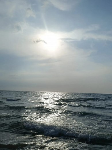 Vallenato Romántico: Un Poquito Más de Nelson Velasquez