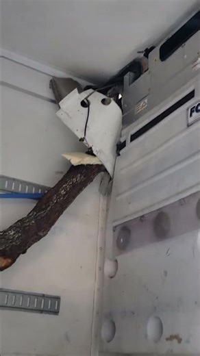 Reefer Trailer Turns Into Log Truck Instantly! #haulinwood