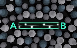 The Neuroscience of Learning