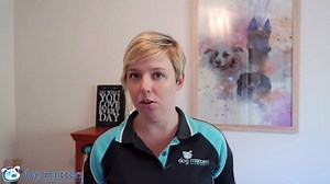 1.7K views · 29 reactions | Target training is a useful trick for getting your dog to touch other items, follow your hand or target and build confidence! Learn how to teach your dog to touch a target in this video and also how to trouble shoot if your dog wants to grab the target instead of touch it politely (like Envy does) Don't forget to post your target video in Dog Matters Community Facebook Group and join free at dogmattersacademy.com for more free training | Dog Matters | Facebook