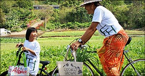 Hawai‘i Microloan Program Receives $500K | Big Island Now