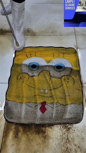 We Tested Viral TikTok Carpet Cleaning Hacks