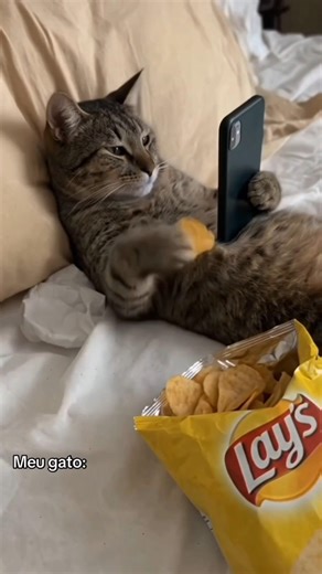 Eu Preocupado quando saiose meu Gato fica bem