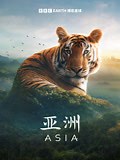 《亚洲》-全集高清在线观看-爱奇艺