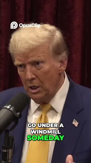 Windmills: Are They Eco-Friendly? The Harsh Reality #shorts