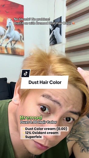 Bremod Dust Hair Color Review and Application Guide