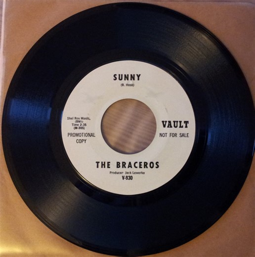 The Braceros - Sunny