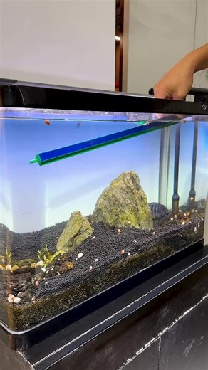 Airstone Curtain for Fish Tanks and Hydroponics