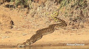 14K views · 494 reactions | Ba Maureen has gained and looking good at the swimming pool  | JAY TONY comedy | Facebook