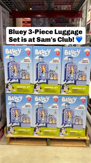 Travel just got way cuter 💙 This Bluey 3-piece luggage & backpack set comes with spinner wheels, a matching backpack, and even a Bluey luggage tag! Perfect for your little traveler! ✈️ It’s 64.87. #samsclub #samsclubfinds #bluey | Sam’s Club Lovers