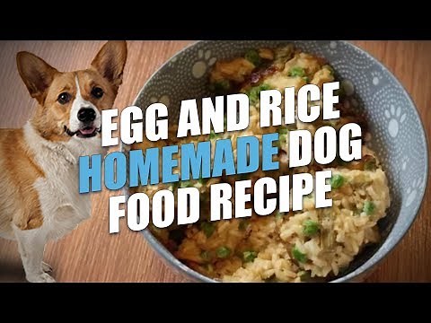 Egg and Rice Homemade Dog Food Recipe (Cheap and Healthy)
