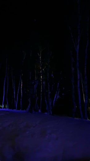 [Hina Shi’s Growth Diary] 8 Years and 10 Months Old, We Went on a Ski Trip to Minakami Kogen. Par...