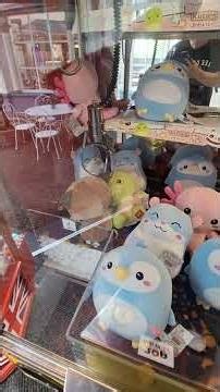 squashi teddies maxx grab claw machine at family amusements arcade great Yarmouth 2026