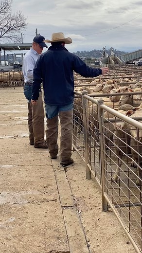 Let’s chat…… @jjdresserandco | JJ Dresser & Co