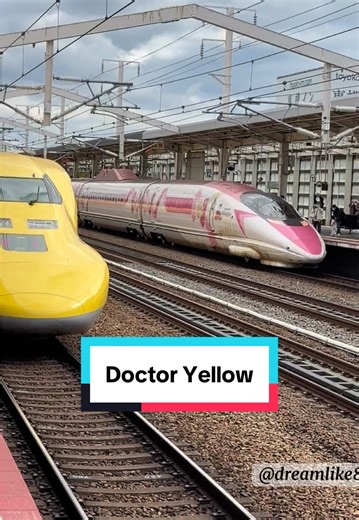 Doctor Yellow こだま検測の魅力