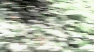 Arrow - All Island Flashback Scenes Part 1 /S01E01-S01E11/ on Make a GIF