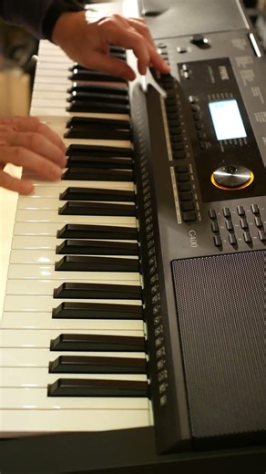 Die rote Sonne von Barbados - German Schlager on the Fame G400 / Medeli M361 keyboard #medelim361