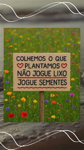 Reflexão da Vida - #colhemos o ...📖 motivação de vida