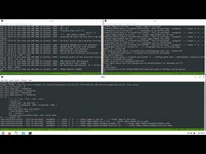 IP data transmission over 5G NR gNB + UE PAL setup