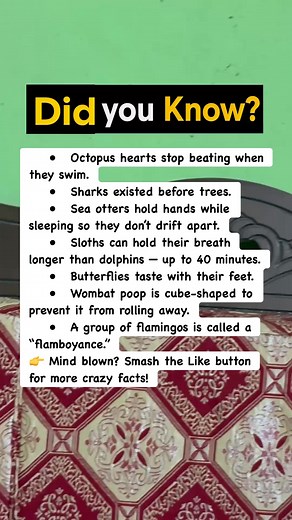 305K views · 3.7K reactions | 7 Animal Facts You Won’t Believe Are Real! #facts | Devlop Express | Facebook