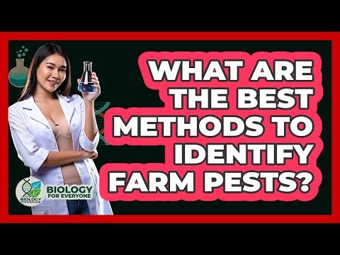 What Are The Best Methods To Identify Farm Pests? - Biology For Everyone
