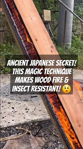 Ancient Japanese Secret! This Magic Technique Makes Wood Fire & Insect Resistant!