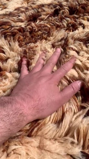 Berber Moroccan Rug, Beni Mrirt in Wool, Unique Handcrafted Geometric Pattern, Authentic Handmade. - Etsy