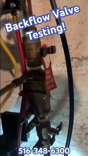 NYS Backflow Device Testing Procedures for Febco Double Check Valve DCV - Passed Inspection #shorts