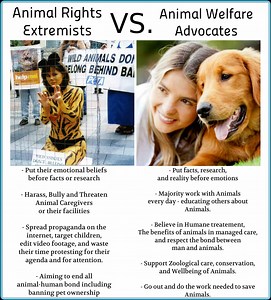 Animal Rights Extremism