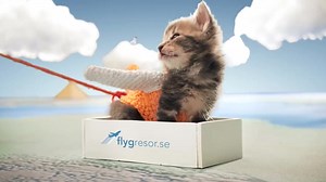 17K views · 417 reactions | Hela Sverige jamar med! En av våra...