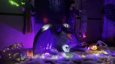 BLOWOUT FUN Halloween Decorations 6 Ft Length Halloween Inflatable Crow with RGB Lighted Skeleton, LED Blow Up Lighted Clearance Decorations Indoor Outdoor Holiday Art Decor Halloween Inflatables
