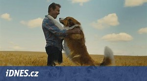RECENZE: První Psí poslání mělo aspoň nápad, druhé už jen opakuje - iDNES.cz