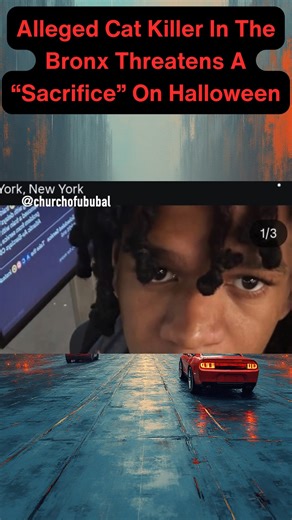 🚨 BRONX ALERT: Alleged Cat Killer Threatens Another “Sacrifice” on Halloween 😡 A disturbing case out of the Bronx has us on high alert. An "individual" posted graphic photos bragging about killing a cat — and announced plans to kill another animal on October 31, 2025. 💀 The post appeared on an Instagram account tied to @churchofububal, appearing to show a domestic cat brutally killed though the individual claims it was staged and a "parlor trick." Before the account was taken down, the user r