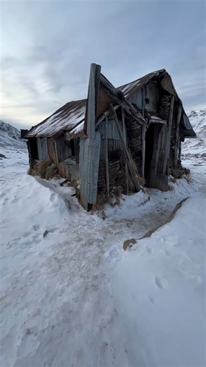I loved to stop by this old cabin in the Talkeetna Mountains as early winter settles in. #AlaskaMountains #WinterInAlaska #CabinLife #AlaskaAdventure #MountainRetreat #EarlyWinter #AlaskaWilderness #RemoteEscape #SnowyAlaska #AlaskaCabin #IntoTheWild #ExploreAlaska #AlaskaVibes #PeacefulPlaces #WildAlaska | Laurent Dick